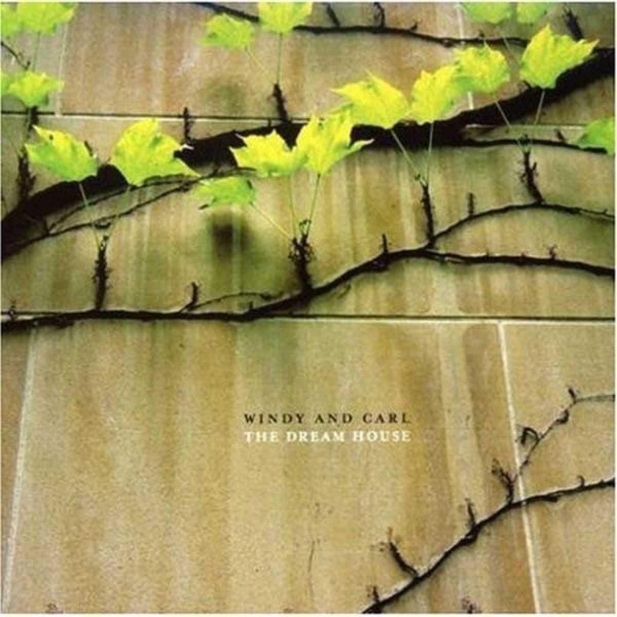 Afbeelding van Windy & Carl - The Dream House / Dedications To Flea