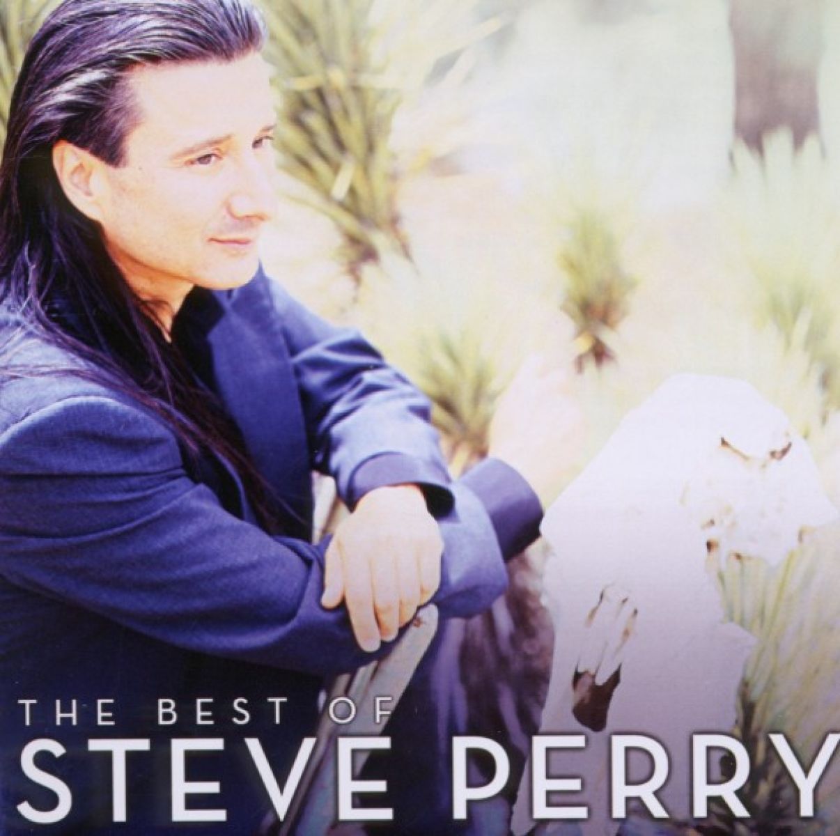 Afbeelding van Oh Sherrie - The Best Of