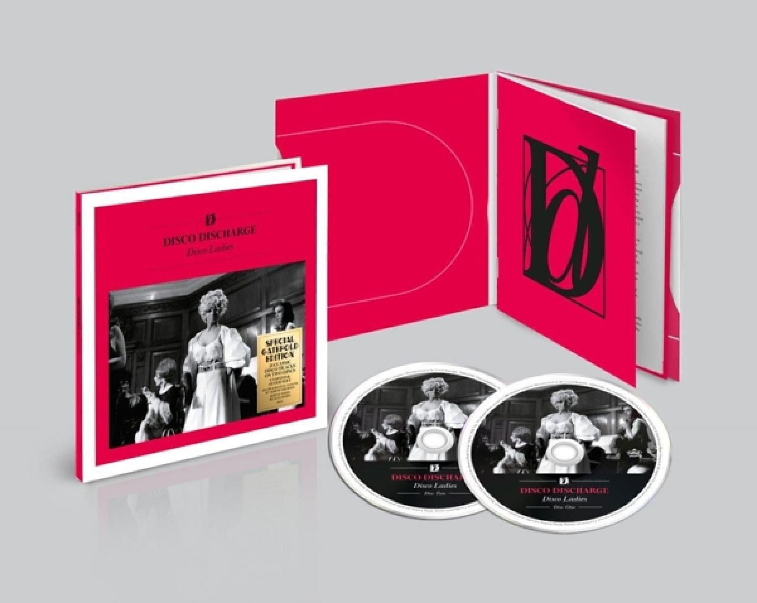 Afbeelding van Disco Discharge: Disco Ladies