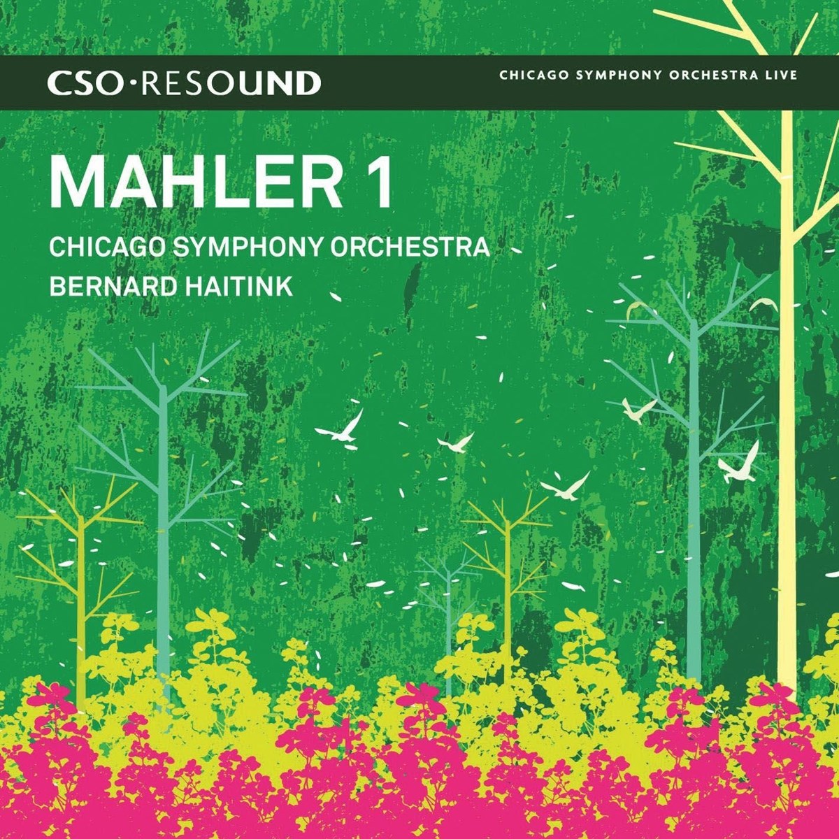Afbeelding van Various Artists - Mahler / Symphonie No. 1