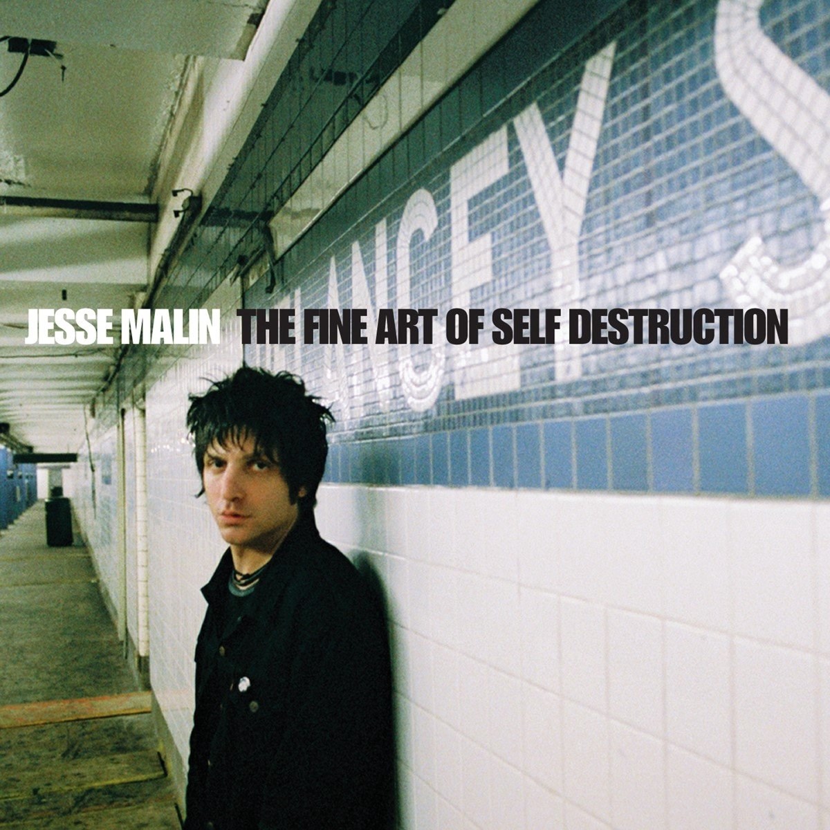 Afbeelding van Jesse Malin - The Fine Art Of Self Destruction
