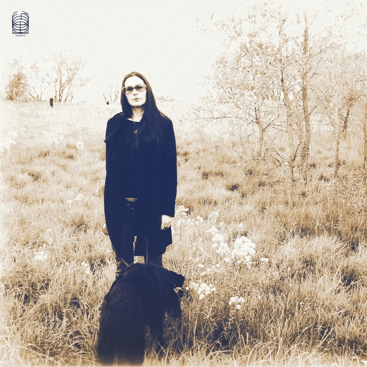 Afbeelding van Jesse Sykes & Sweet Hereafter - Forever, I've Been Being Born