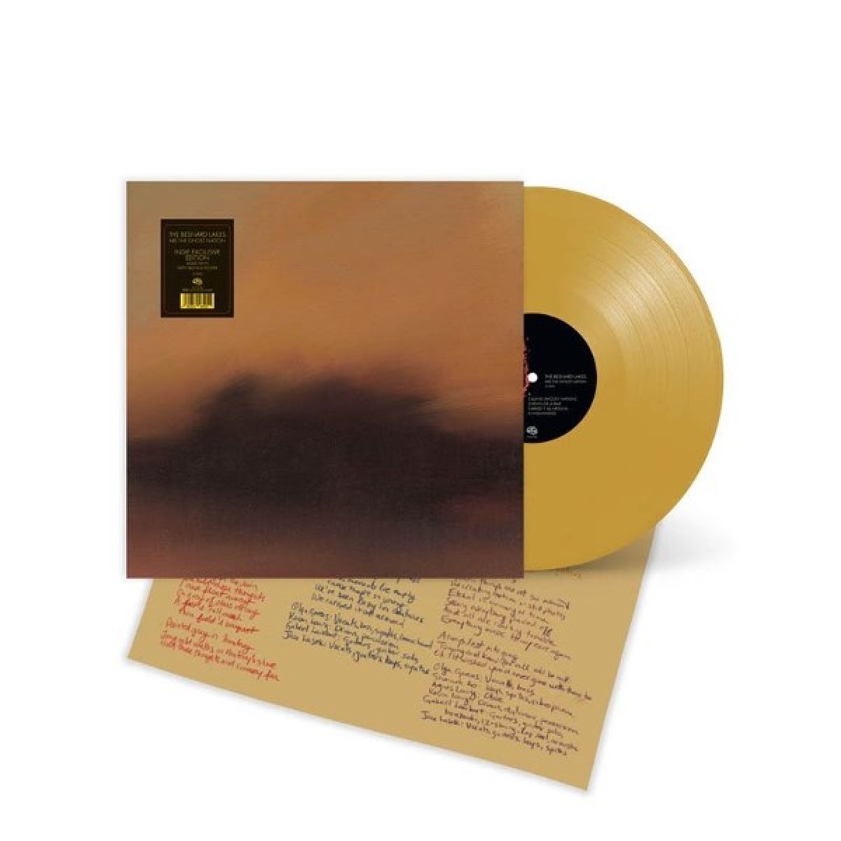 Afbeelding van The Besnard Lakes - Are The Ghost Nation