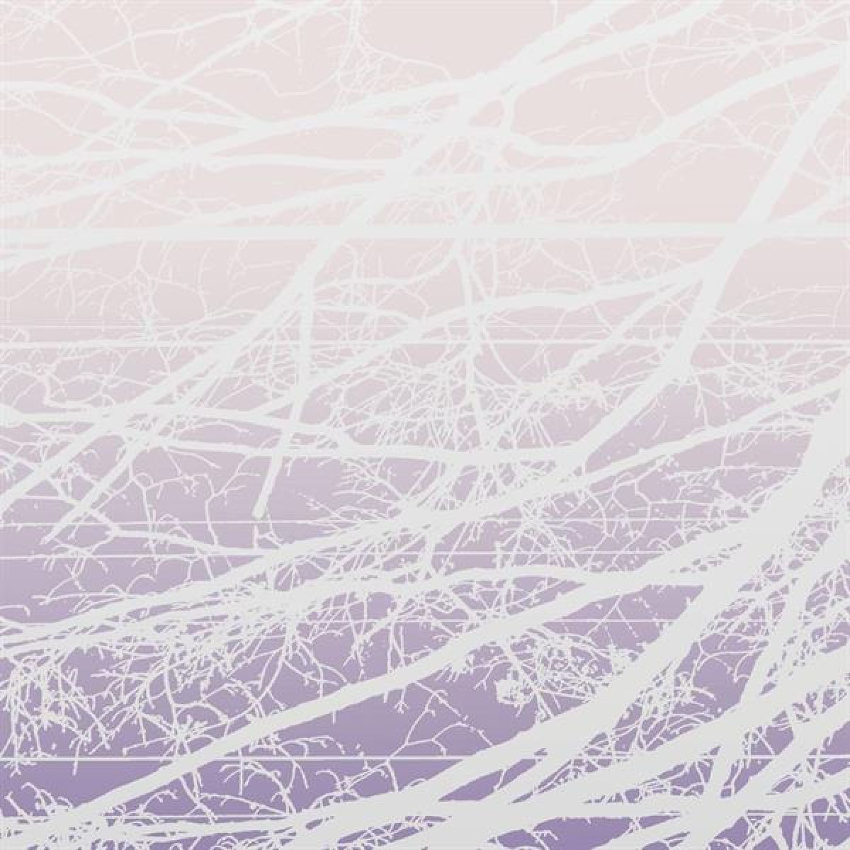 Afbeelding van Metal Aether / Resonant Field