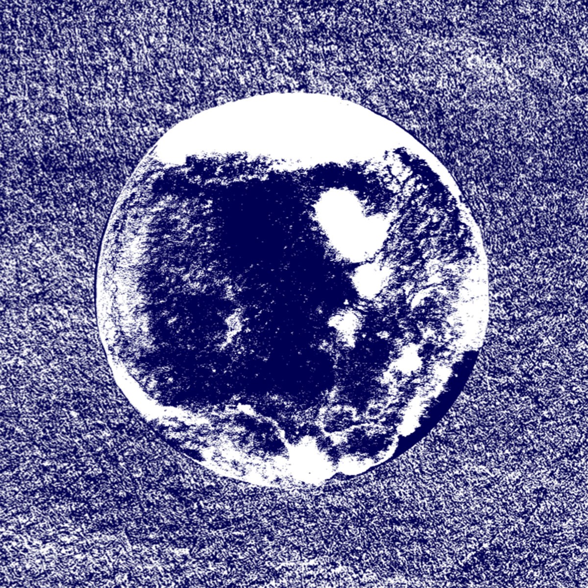 Afbeelding van Bermud - Oceans On The Moon