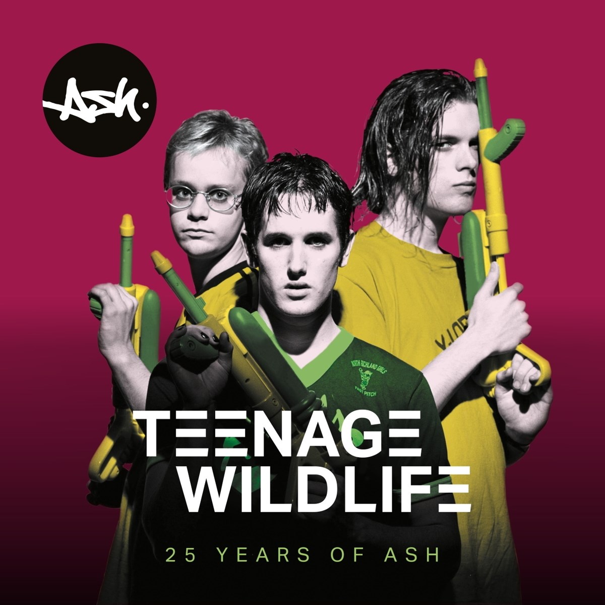 Afbeelding van Ash - Teenage Wildlife: 25 Years Of Ash