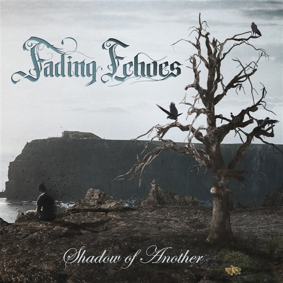 Afbeelding van Fading Echoes - Shadow Of Another
