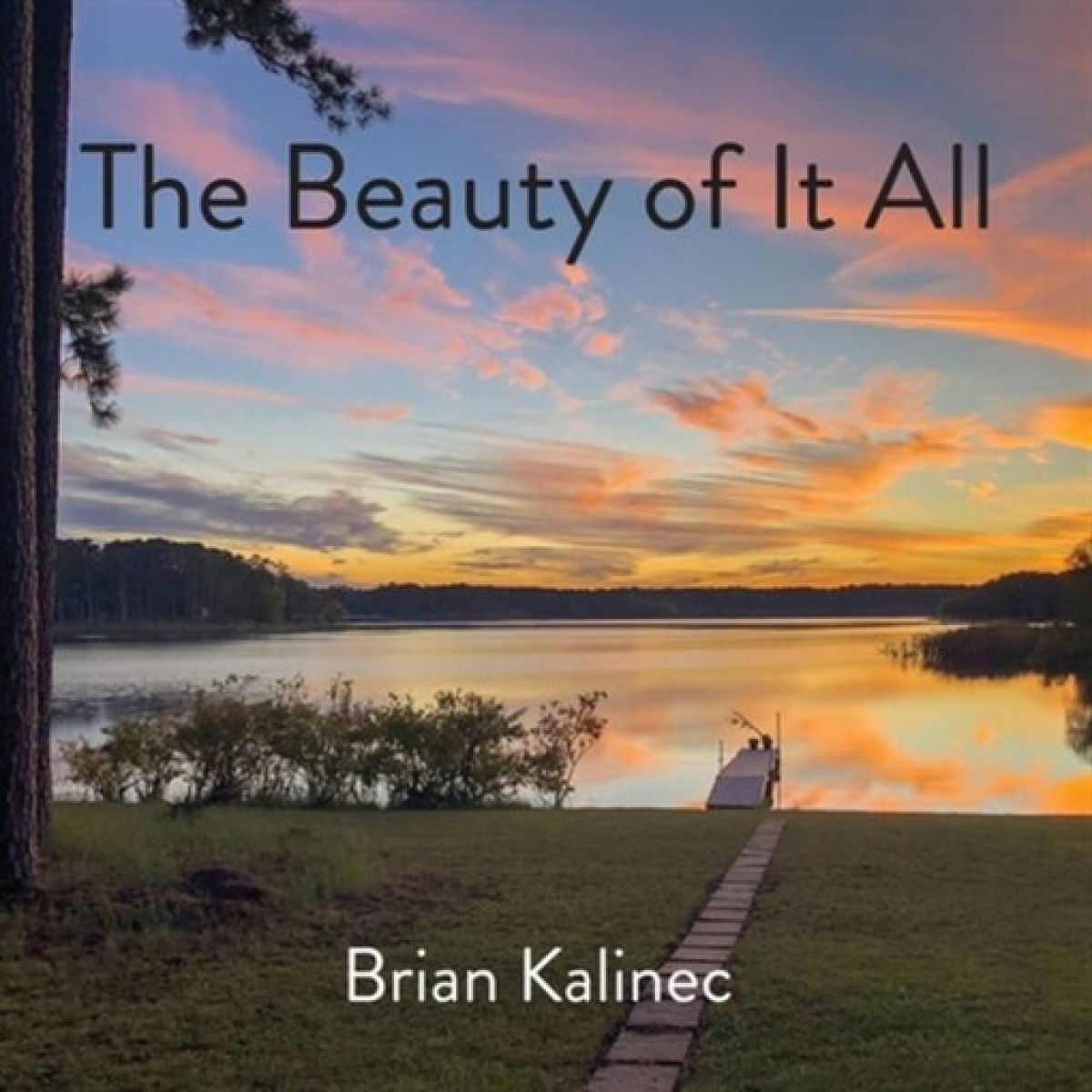 Afbeelding van Brian Kalinec - The Beauty Of It All