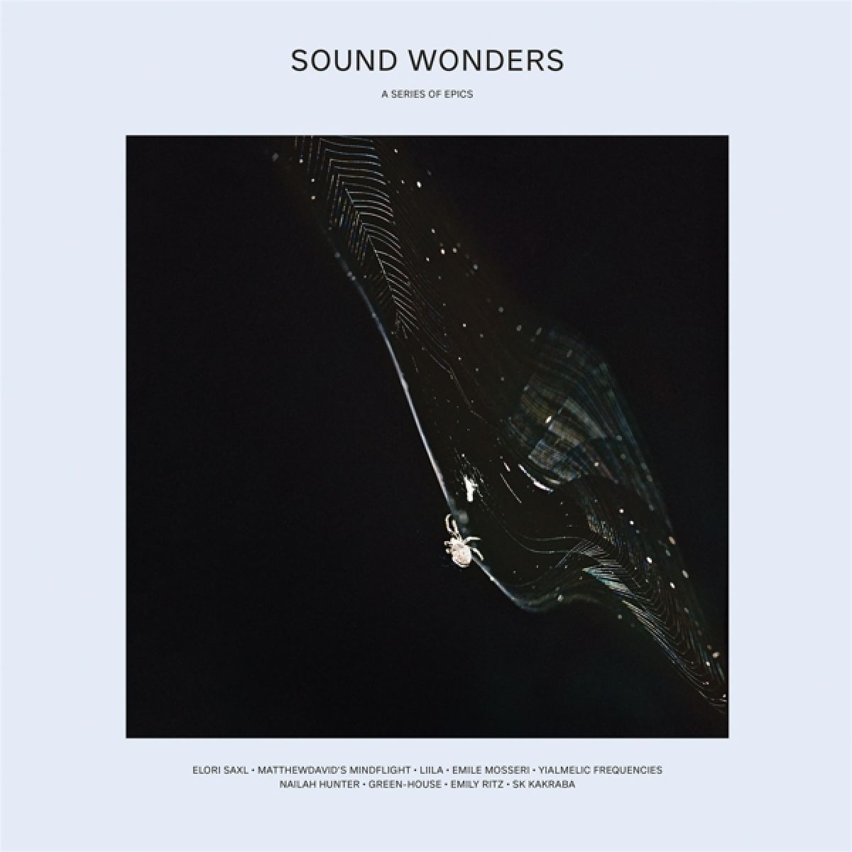 Afbeelding van Various Artists - Sound Wonders: A Series of Epics
