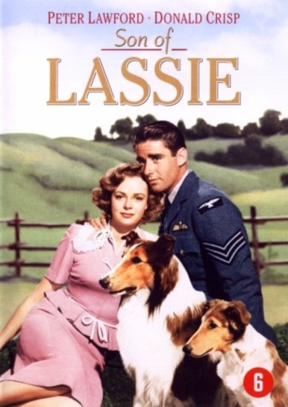 Afbeelding van Son of lassie