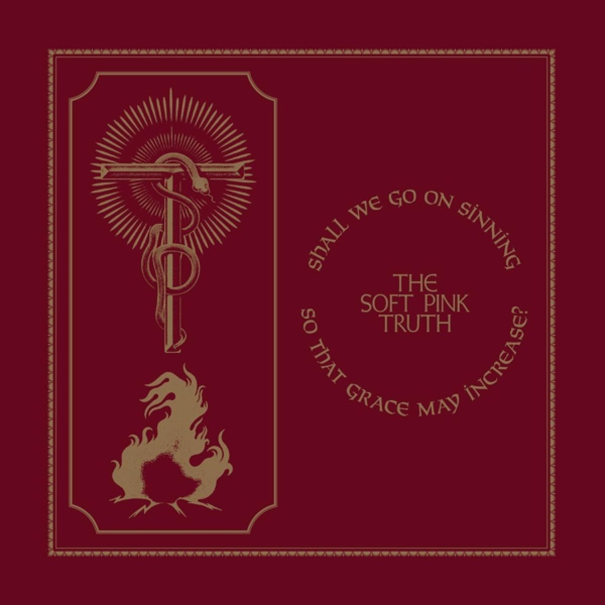 Afbeelding van The Soft Pink Truth - Shall We Go On Sinning So That Grace May Increase?