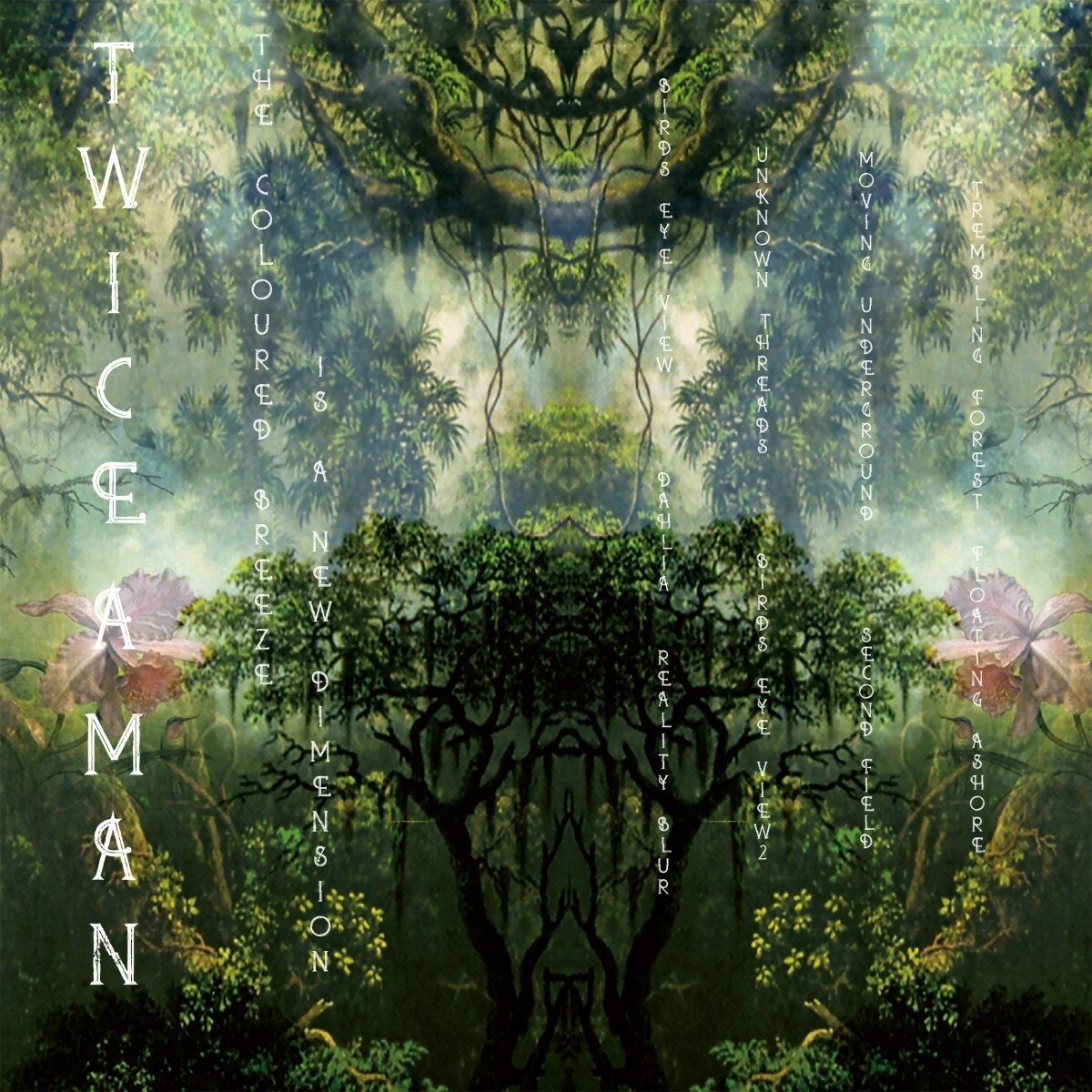 Afbeelding van Twice A Man - The Coloured Breeze Is A New Dimension
