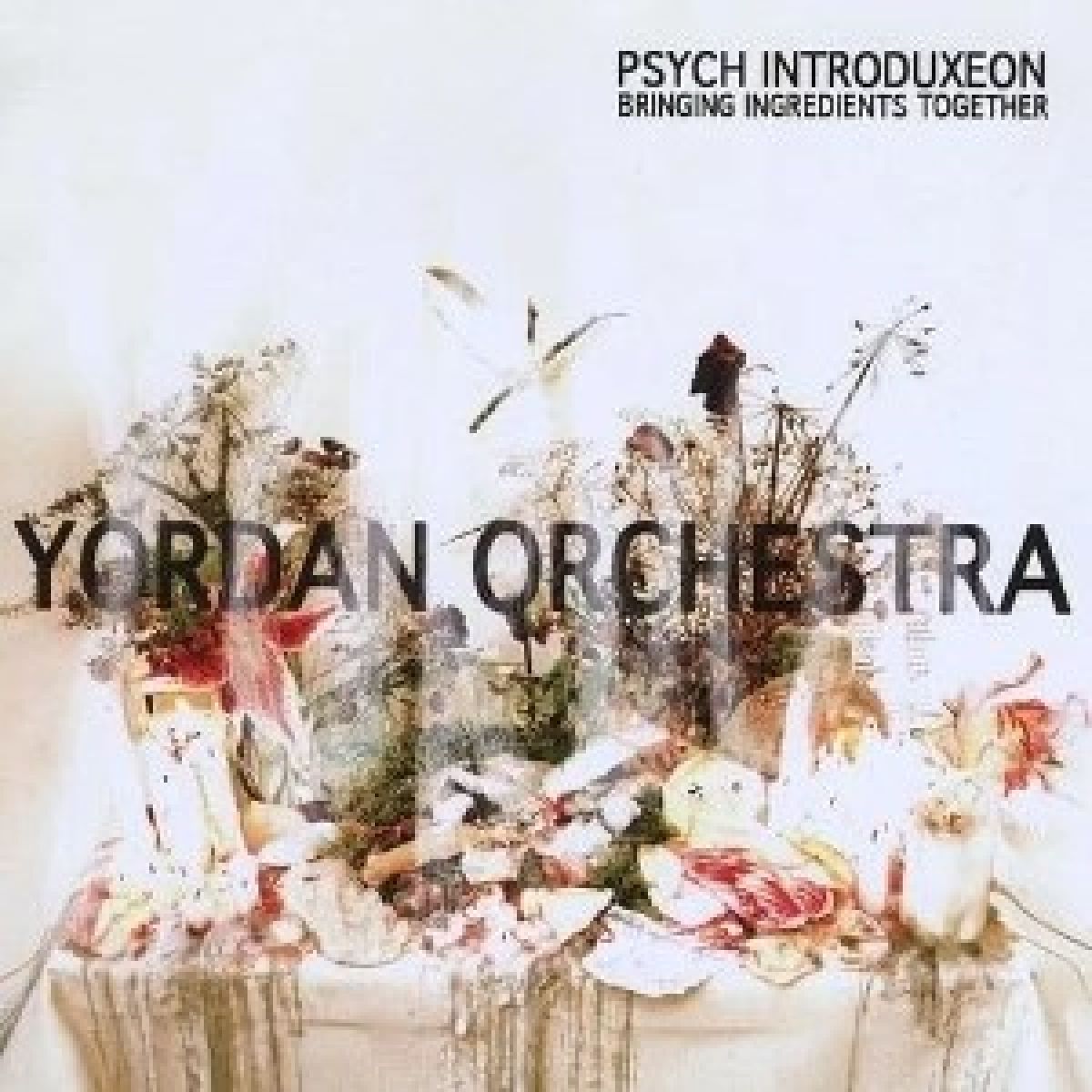 Afbeelding van Yordan Orchestra - Psych Introduxeon/Bringing Ingredients Together
