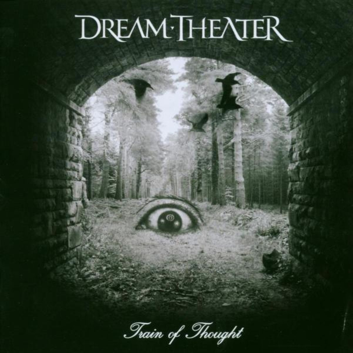 Afbeelding van Dream Theater - Train Of Thought