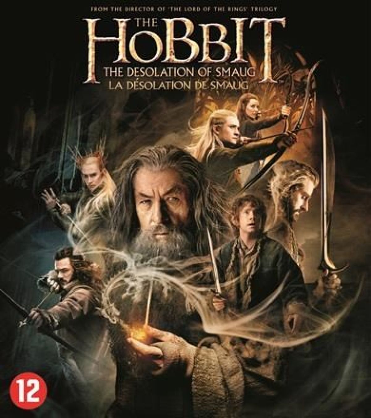 Afbeelding van Hobbit - The Desolation Of Smaug