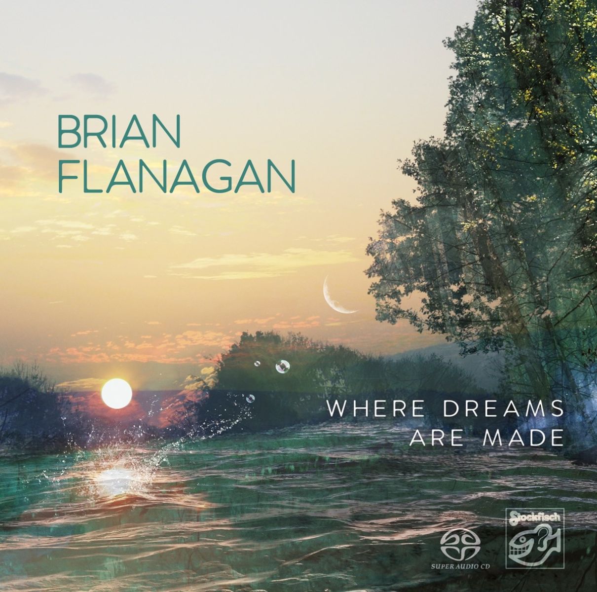 Afbeelding van Brian Flanagan - Where Dreams Are Made
