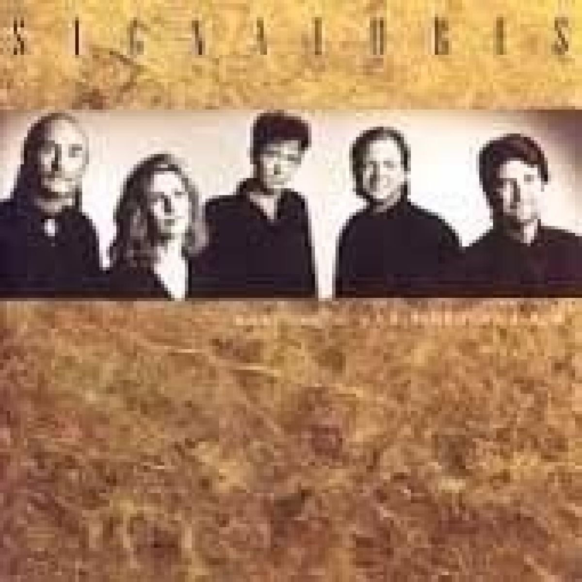 Afbeelding van Various Artists - Signatures III / A Songwriter's Album