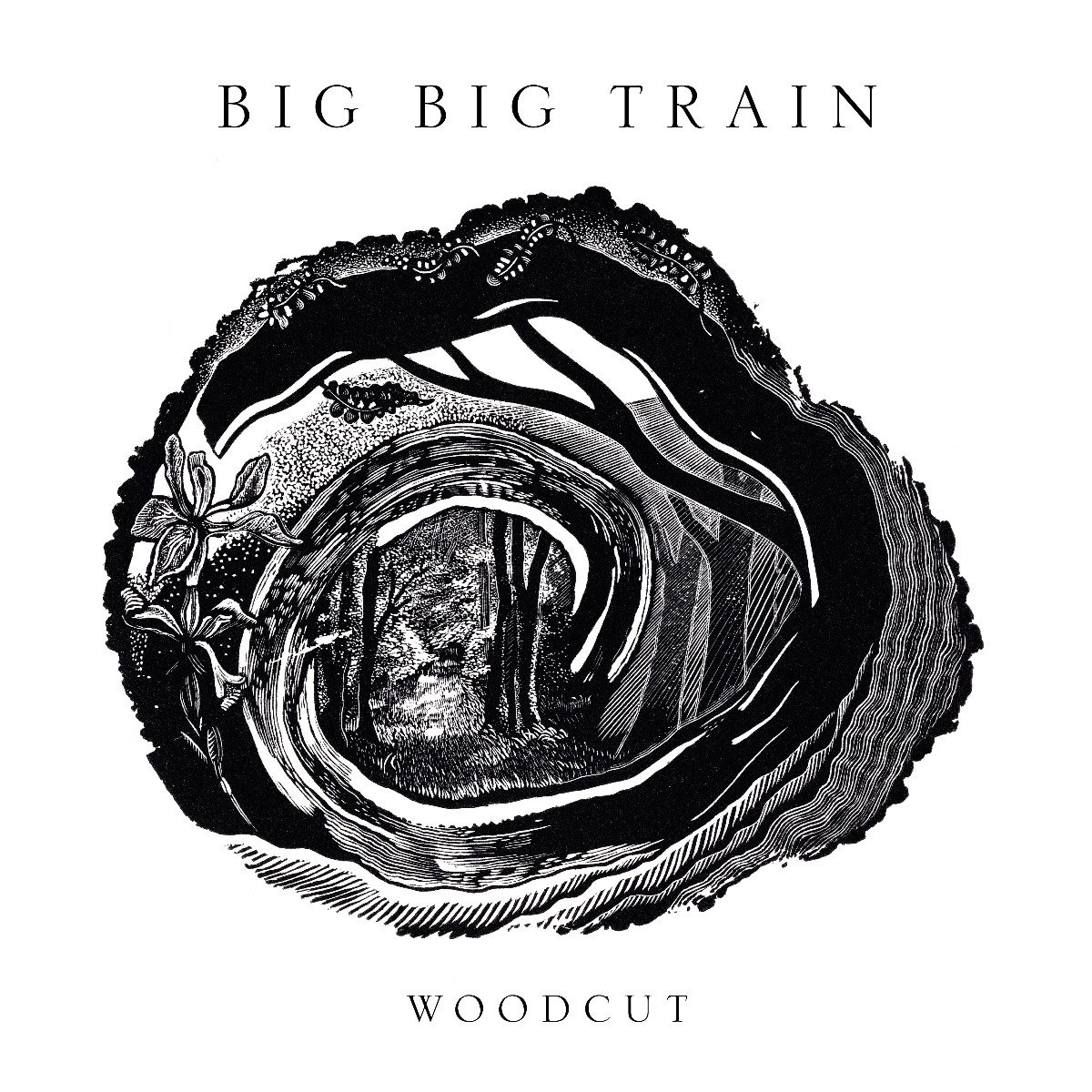 Afbeelding van Big Big Train - Woodcut