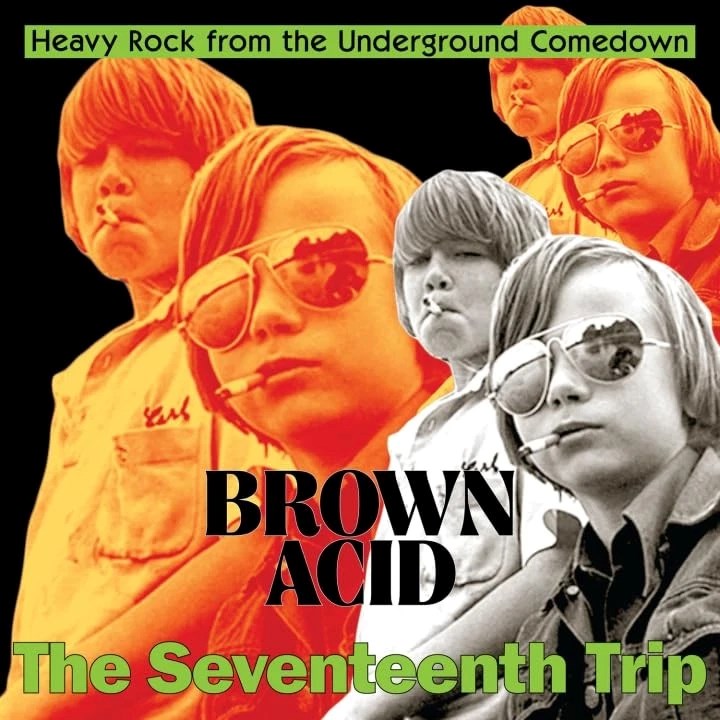 Afbeelding van Various Artists - Brown Acid: The Seventeeth Trip