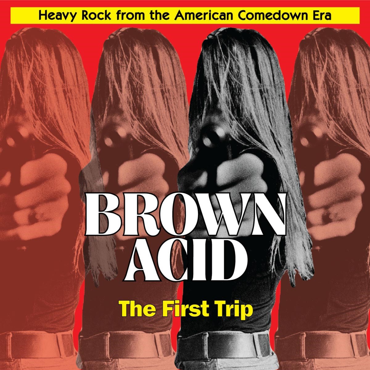 Afbeelding van Various Artists - Brown Acid: The First Trip