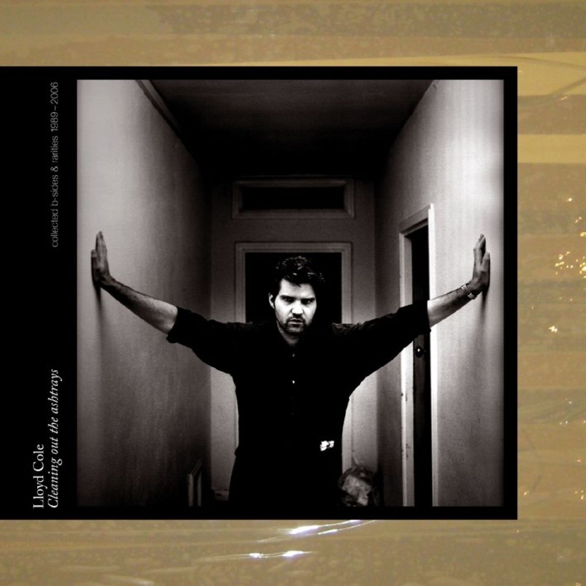 Afbeelding van Lloyd Cole - Cleaning Out The Ashtrays (Collected B-Sides & Rarities 1989-2006)