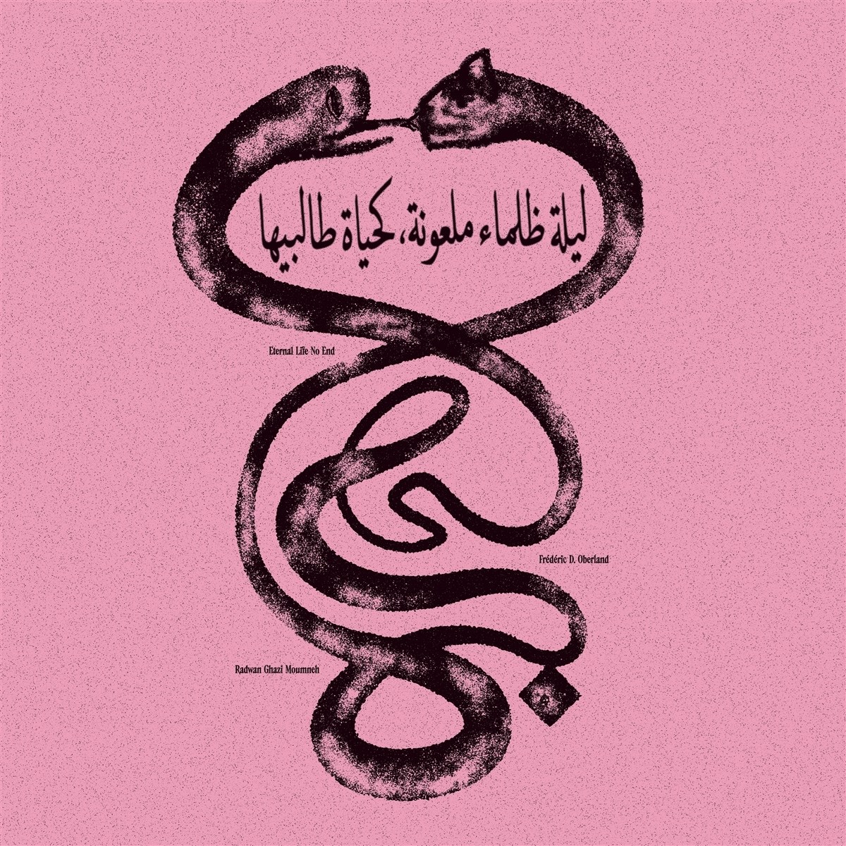 Afbeelding van Radwan Ghazi Moumneh & Frederic D. Oberland - Eternal Life No End