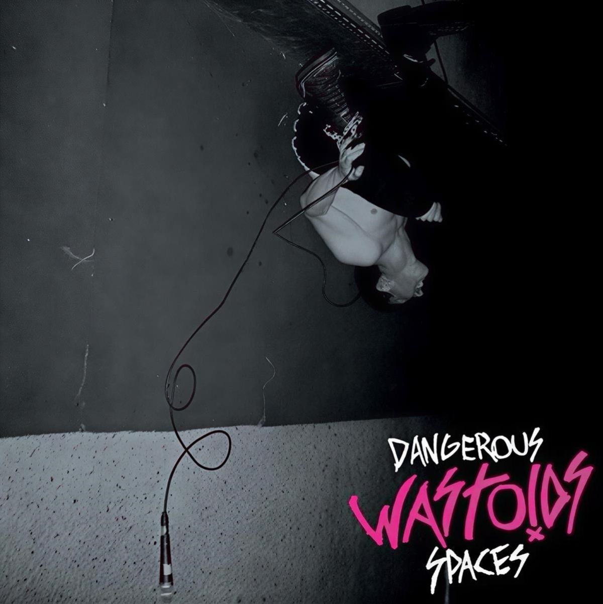 Wastoids - Dangerous Spaces