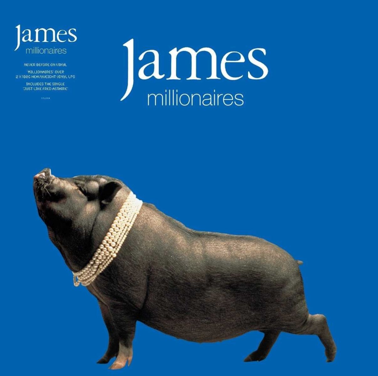 Afbeelding van James - Millionaires