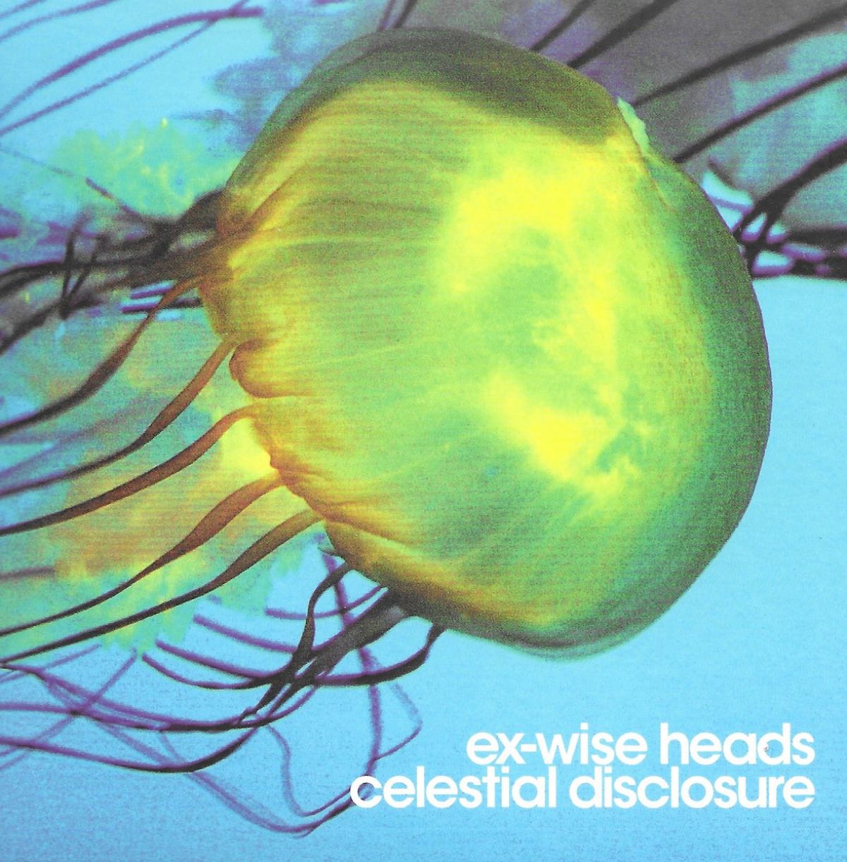 Afbeelding van Ex-Wise Heads - Celestial Disclosure