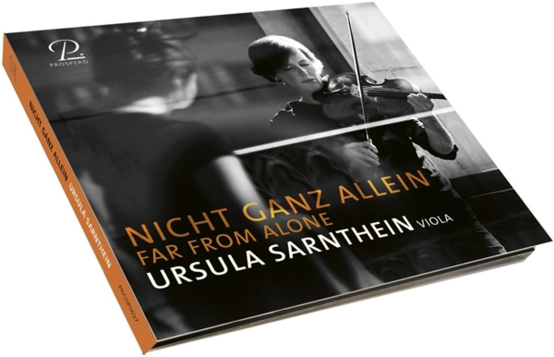 Afbeelding van Ursula Sarnthein - Far From Home