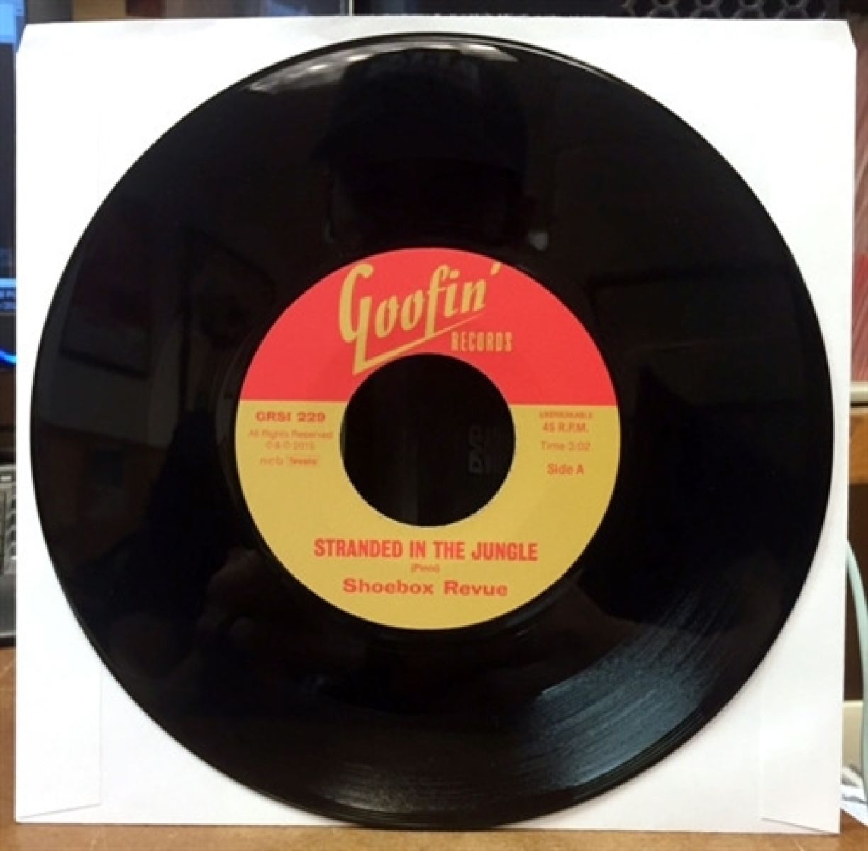 Shoebox Revue - Stranded In The Jungle