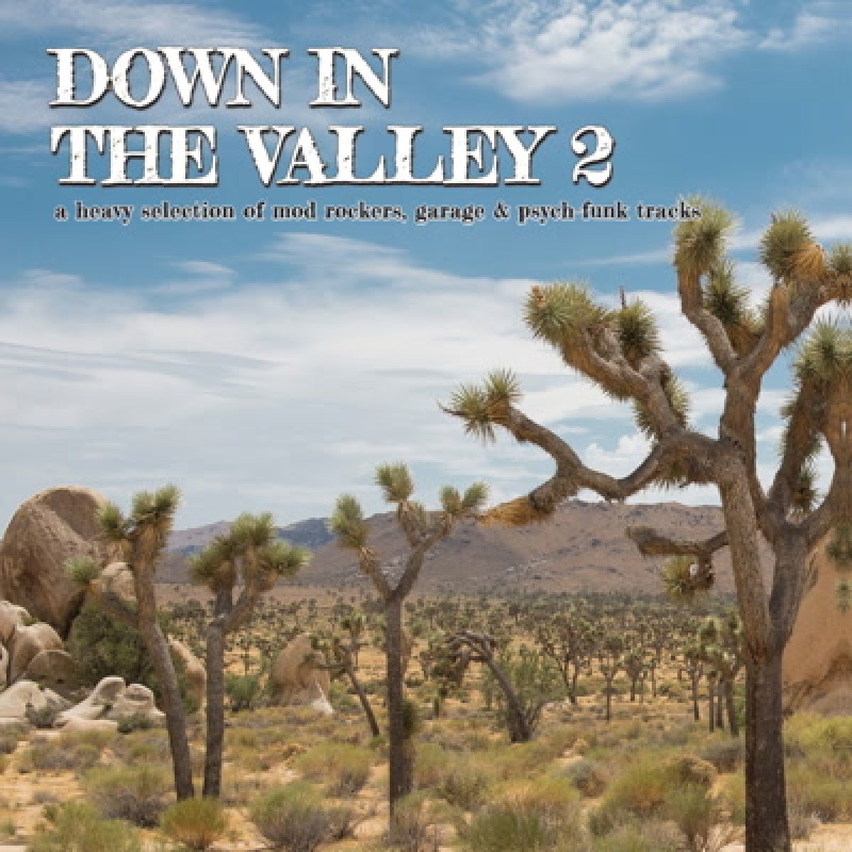 Afbeelding van Various Artists - Down In The Valley 2