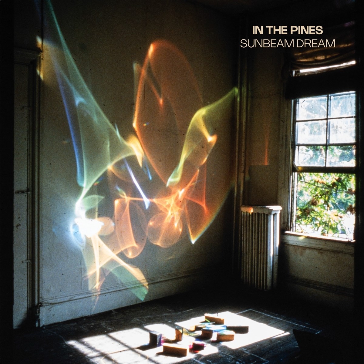 Afbeelding van In The Pines - Sunbeam Dream
