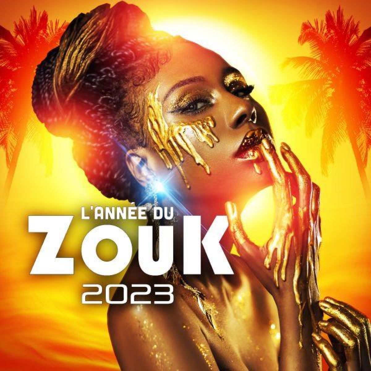 Afbeelding van Various Artists - L'année du Zouk 2023