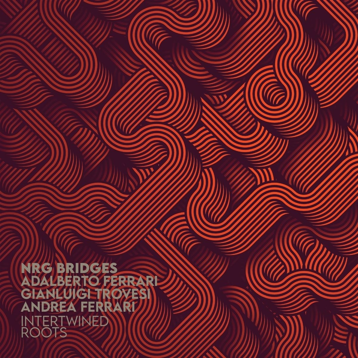NRG Bridges : Adalberto Ferrari, Gianluigi Trovesi, Andrea Ferrari - Intertwined Roots