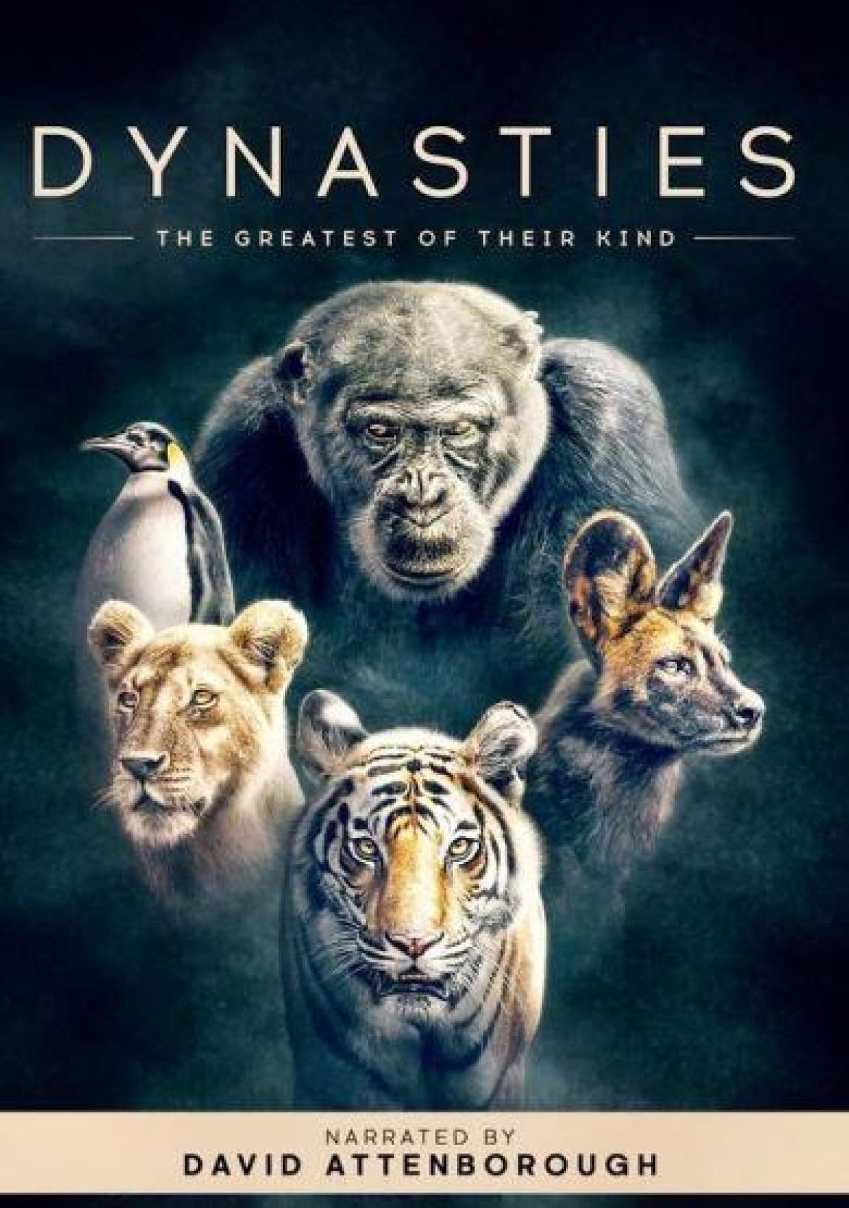 Dynasties - Seizoen 1