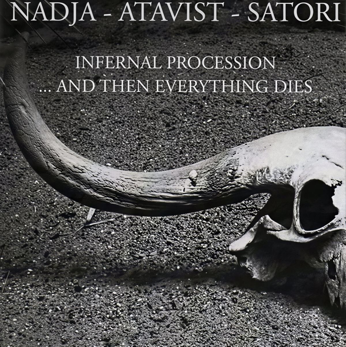 Afbeelding van Nadja | Atavist | Satori - nfernal Procession... And Then Everything Dies