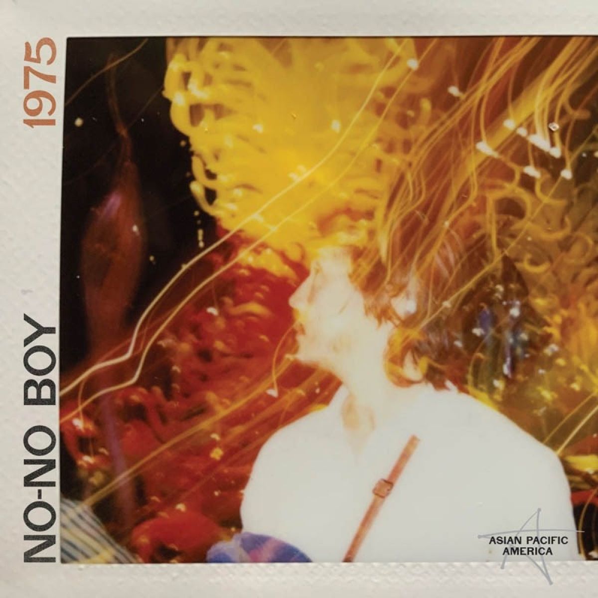 Various Artists - No-No Boy / 1975