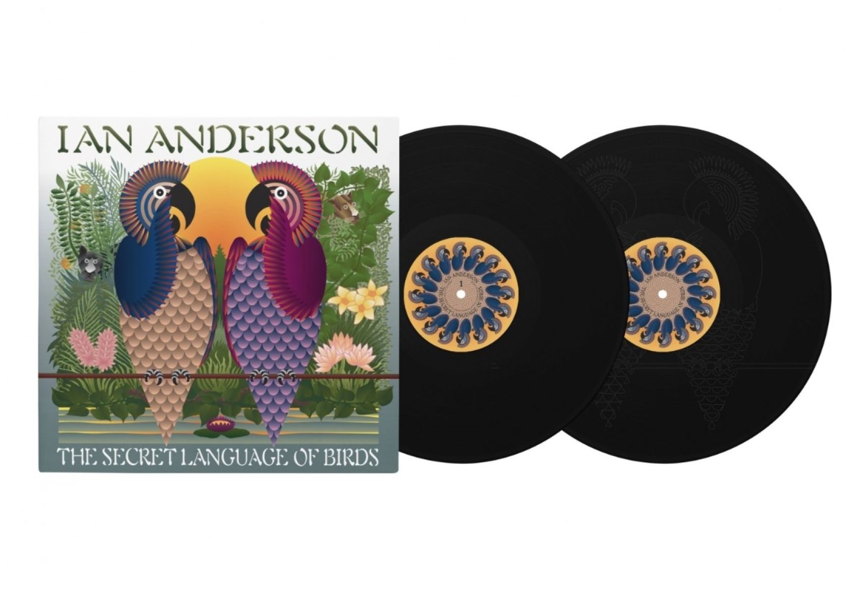 Afbeelding van Ian Anderson - The Secret Language Of Birds