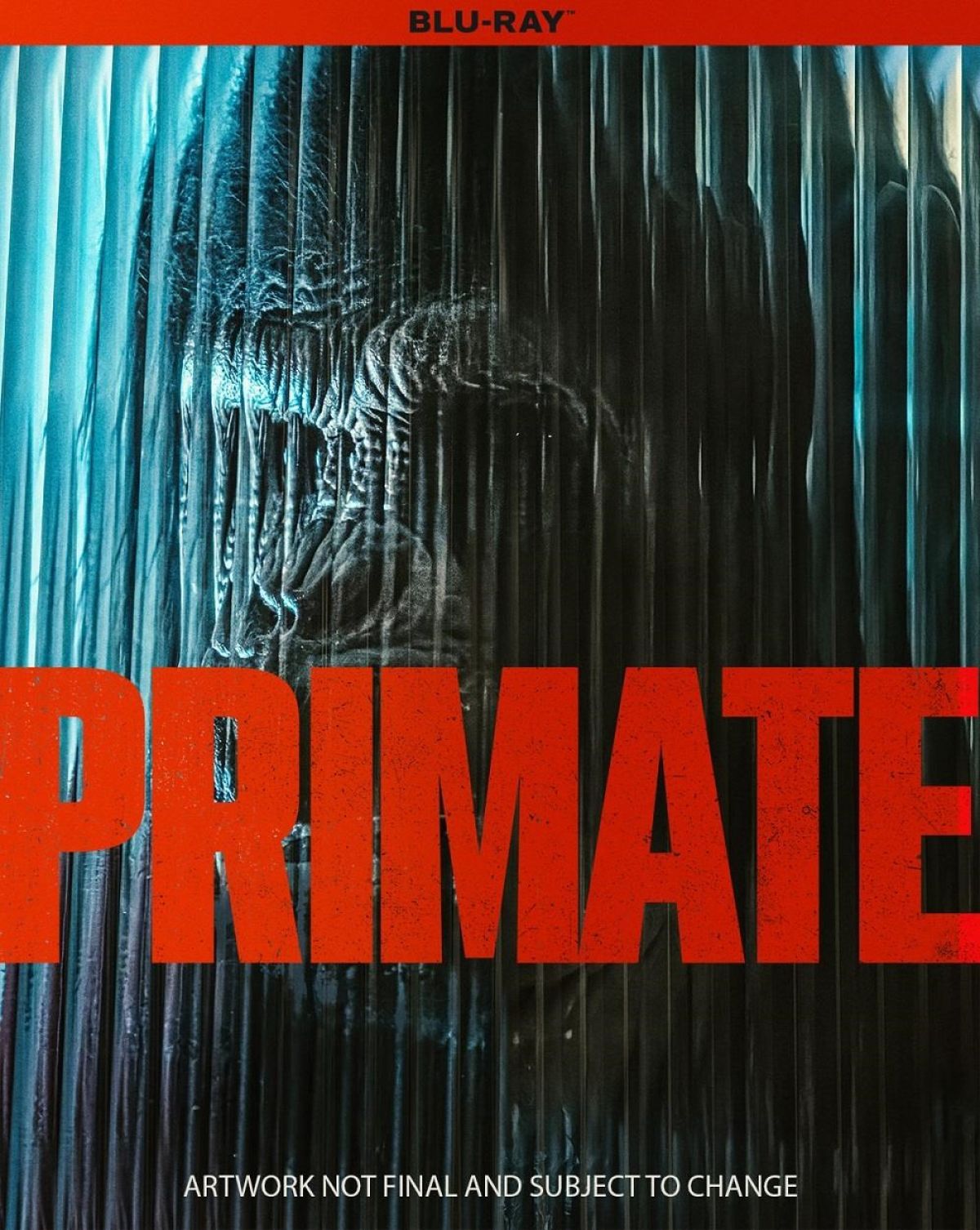 Afbeelding van Primate