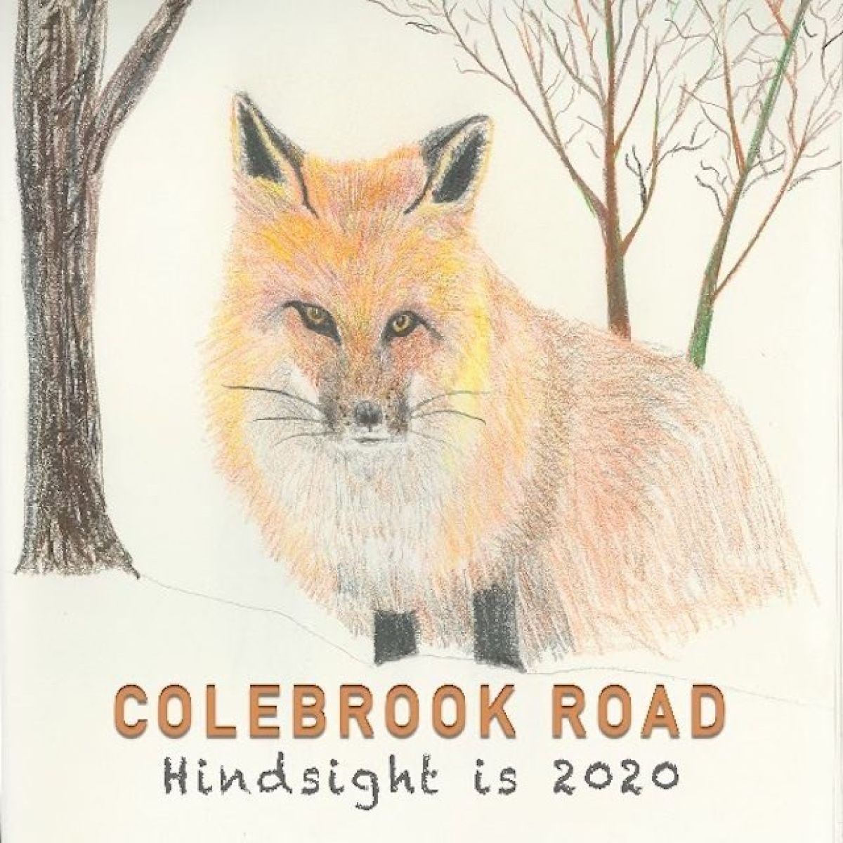 Afbeelding van Colebrook Road - Hindsight Is 2020