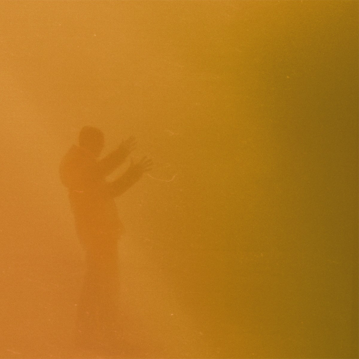 Afbeelding van Nils Frahm - Juno Reworked
