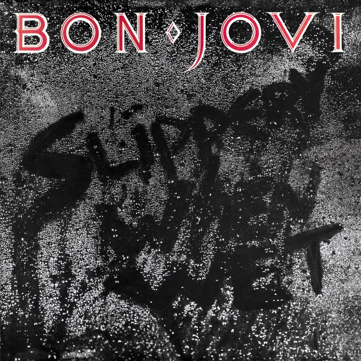 Afbeelding van Bon Jovi - Slippery When Wet