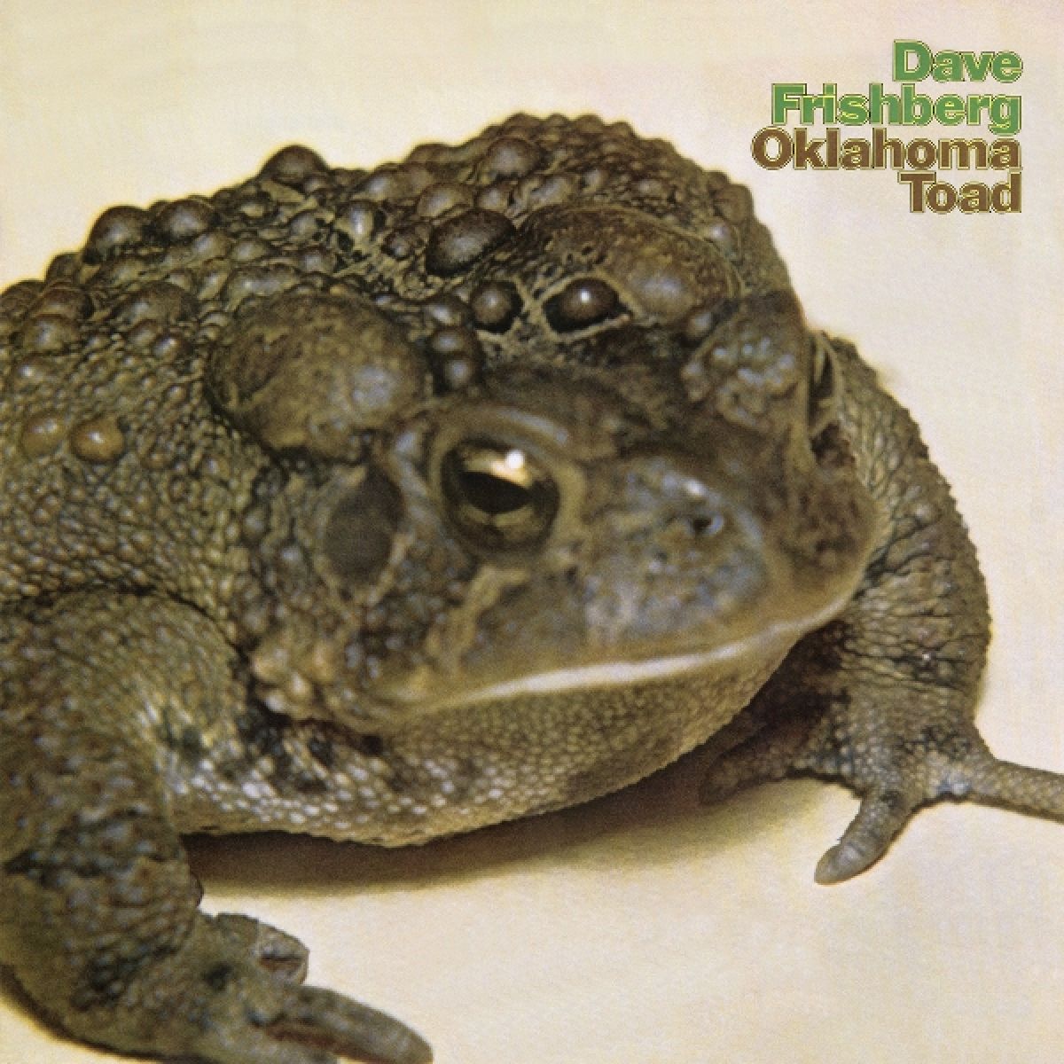 Afbeelding van Dave Frishberg - Oklahoma Toad