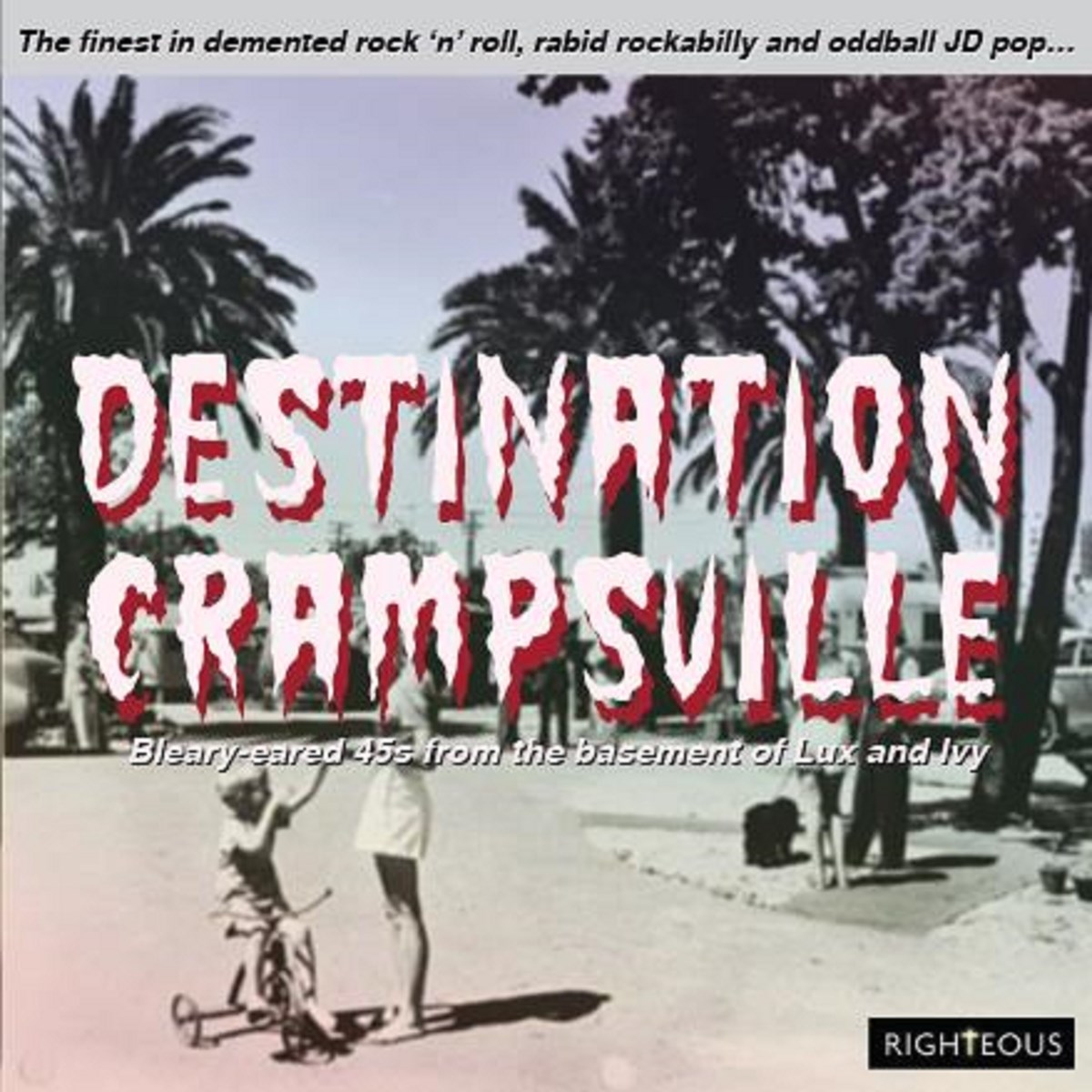 Afbeelding van Various Artists - Destination Crampsville (Bleary-Eared 45s From The Basement Of Lux And Ivy)