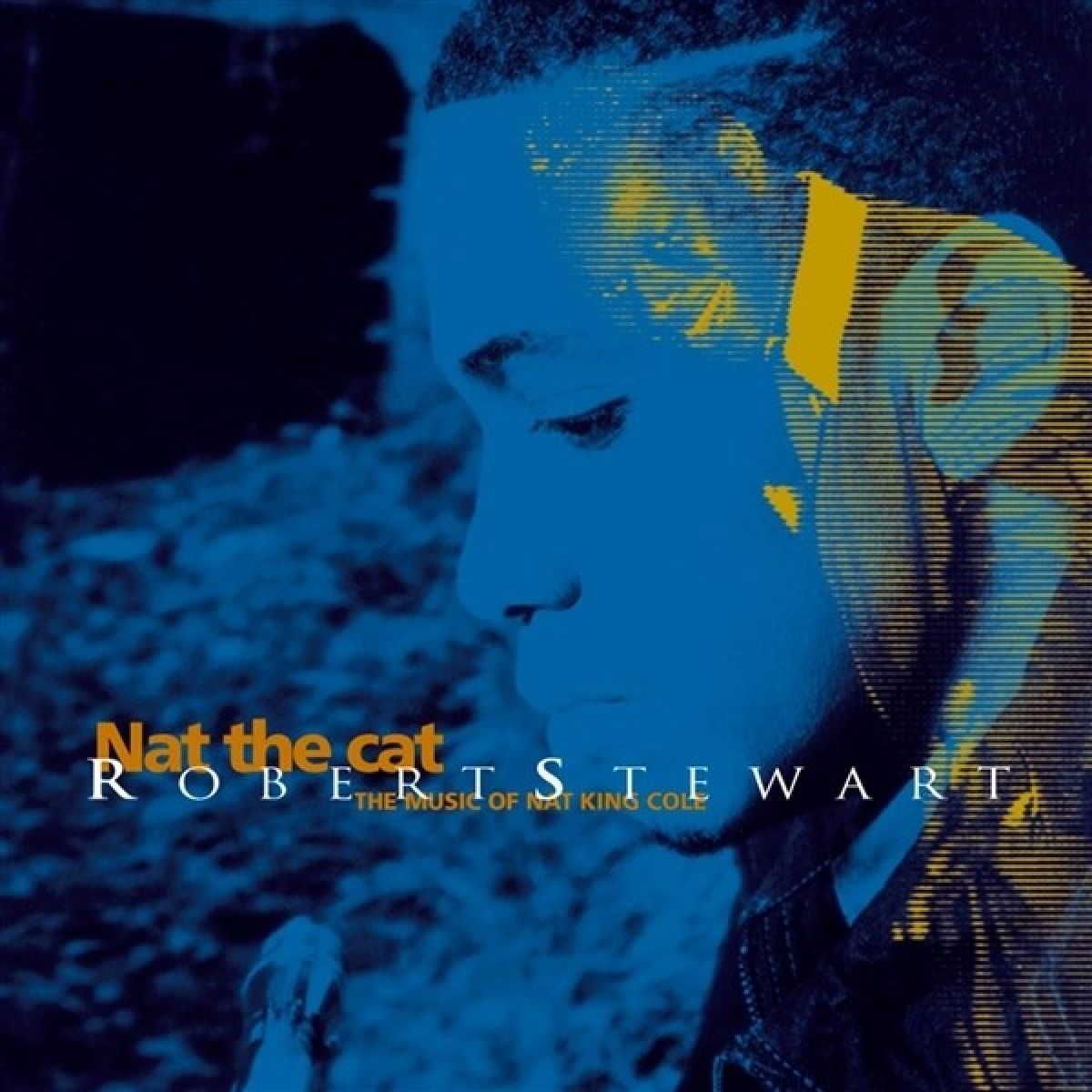 Afbeelding van Nat The Cat / The Music Of Nat King Cole