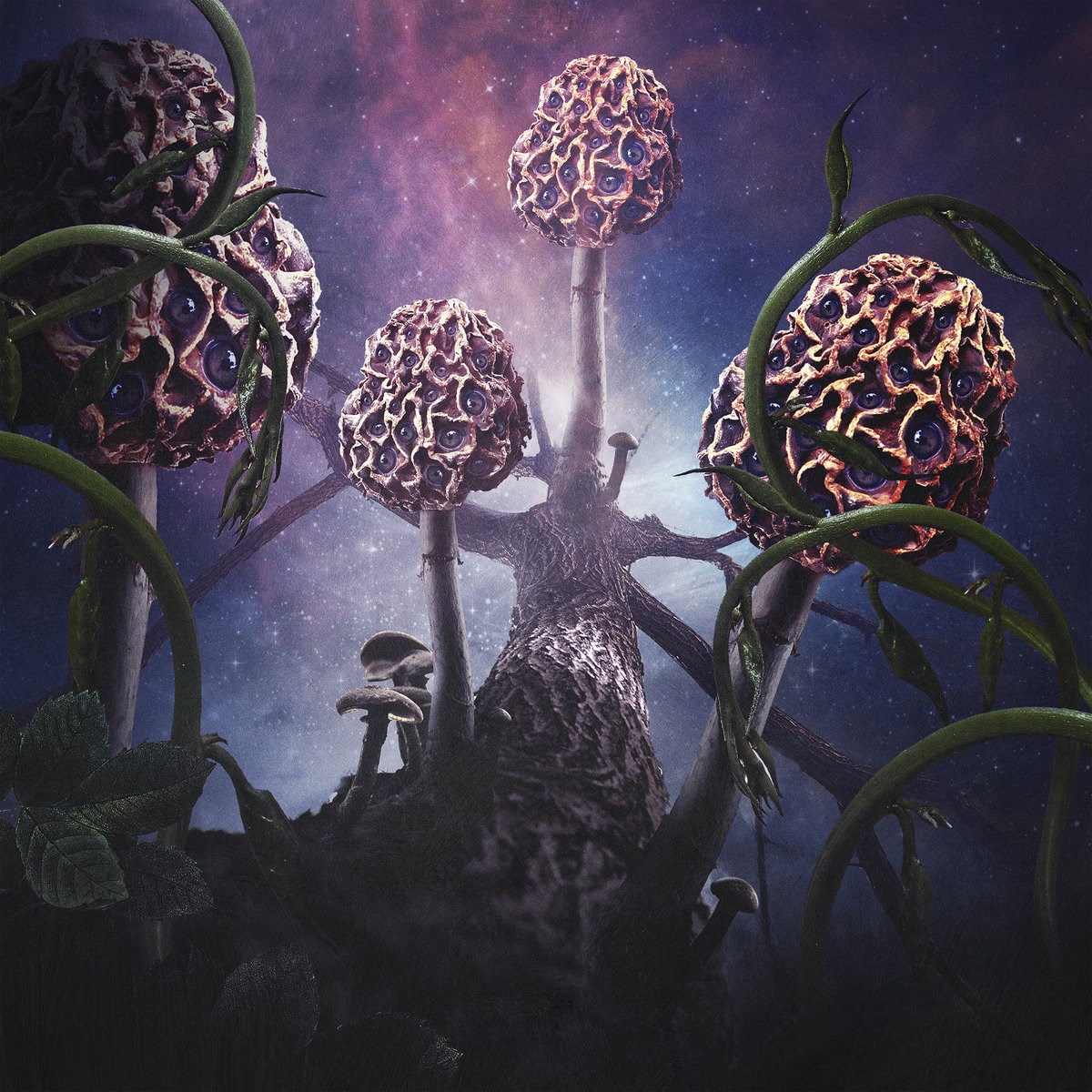 Afbeelding van Blut Aus Nord - Hallucinogen
