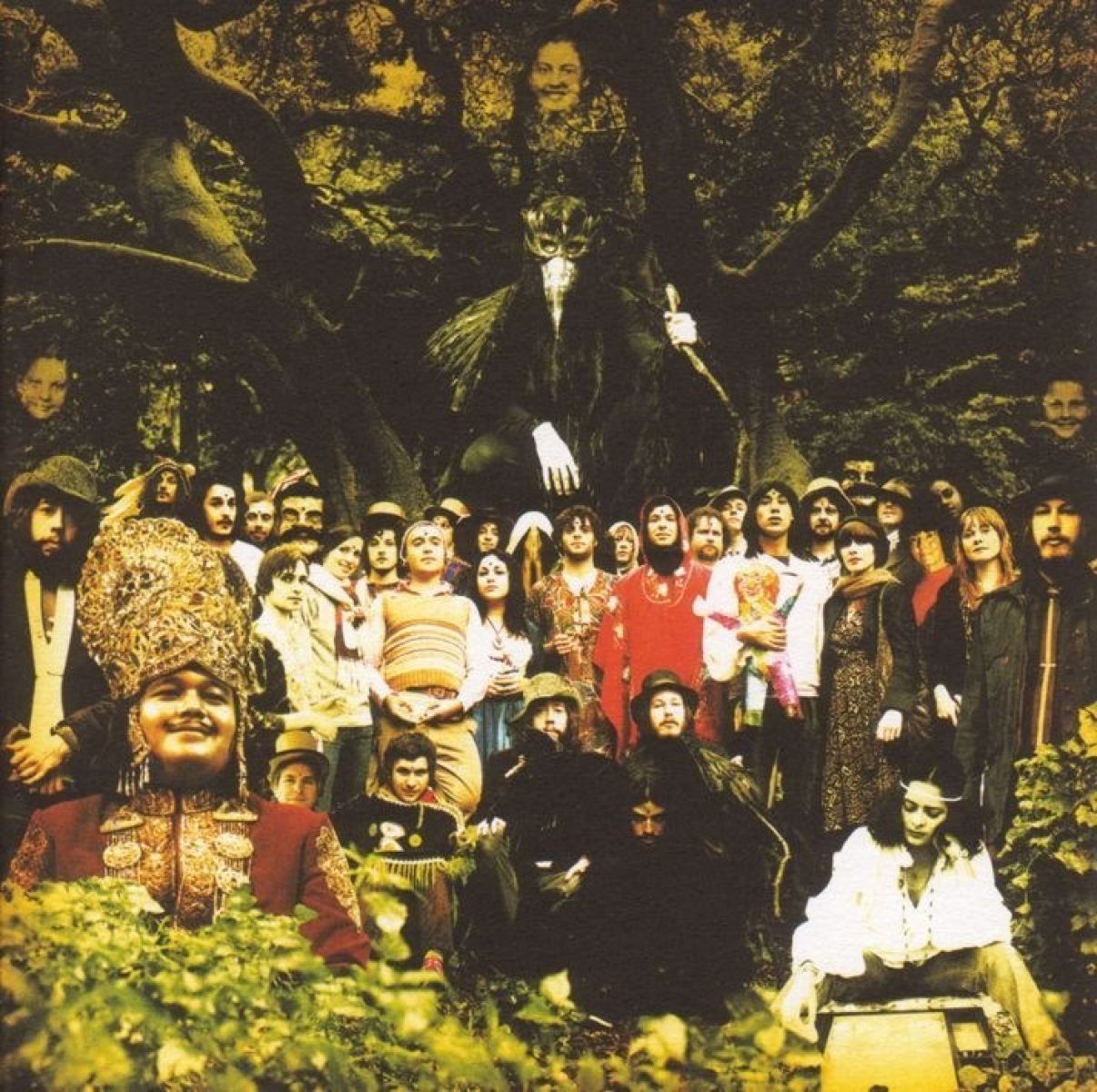 Afbeelding van Devendra Banhart - Cripple Crow
