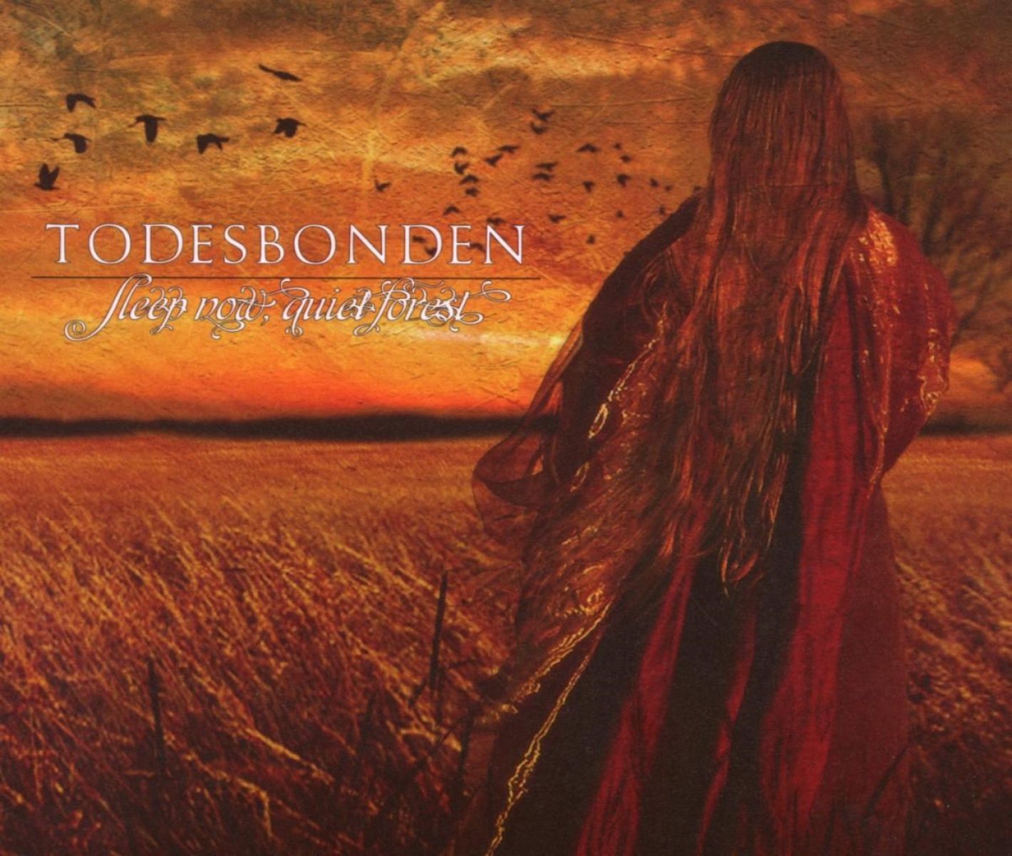 Afbeelding van Todesbonden - Sleep Now, Quiet Forest