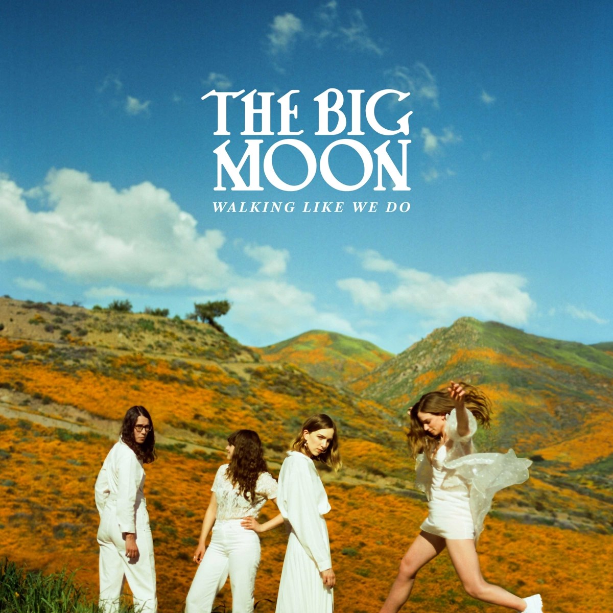 Afbeelding van The Big Moon - Walking Like We Do